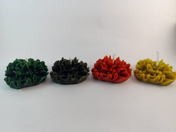 Vela Artesanal con Forma de Coral – Cera de Abeja Natural