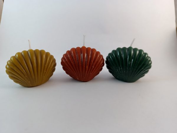 Vela artesanal con forma de concha, hecha con cera de abeja y aceites esenciales – Aroma de Abeja